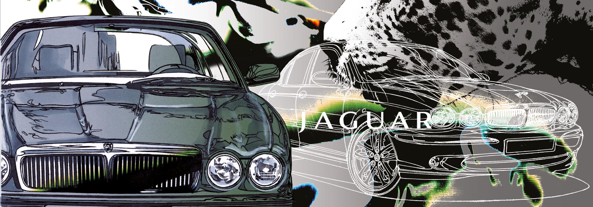 Bildausschnitt "Jaguar" für den Headerbereich